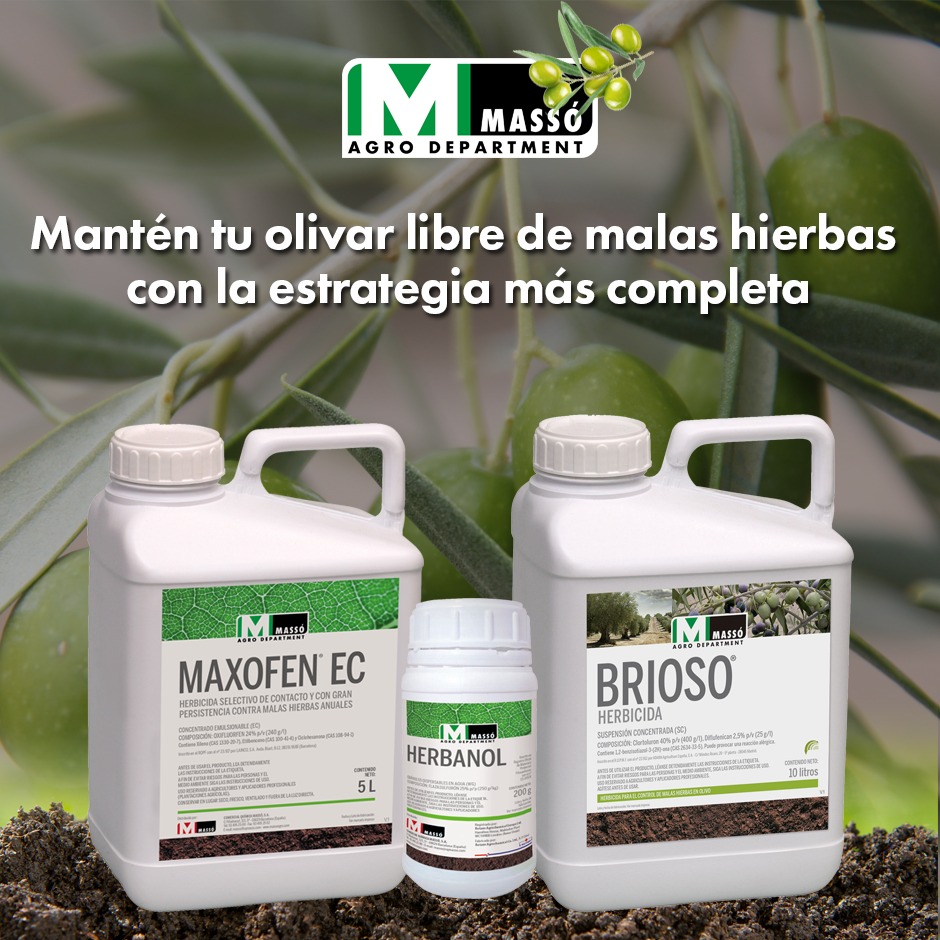 Tu centro de confianza para el cuidado de tus olivos